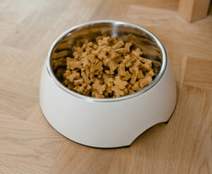 Dogfood Petswithpaws