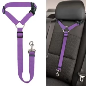 Adjustable Dog Car Seat Belt Leash – Two-in-One Nylon Pet Safety Harness for Backseat Travel