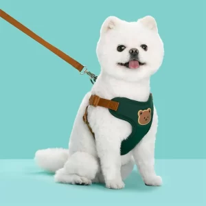 “No-Pull Pet Harness Leash Set – Adjustable Pet Harness